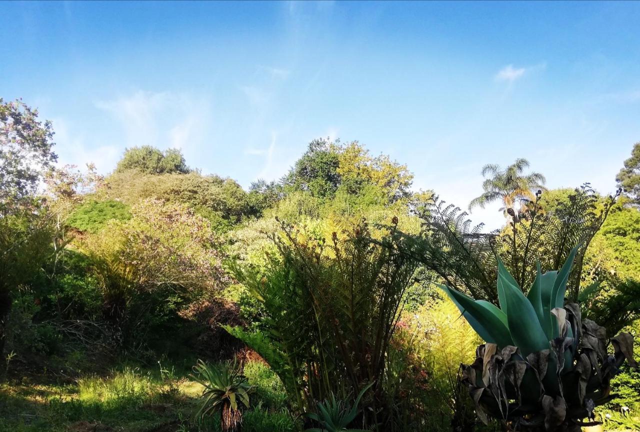 Chosen Glamping Tents Graskop Exterior foto