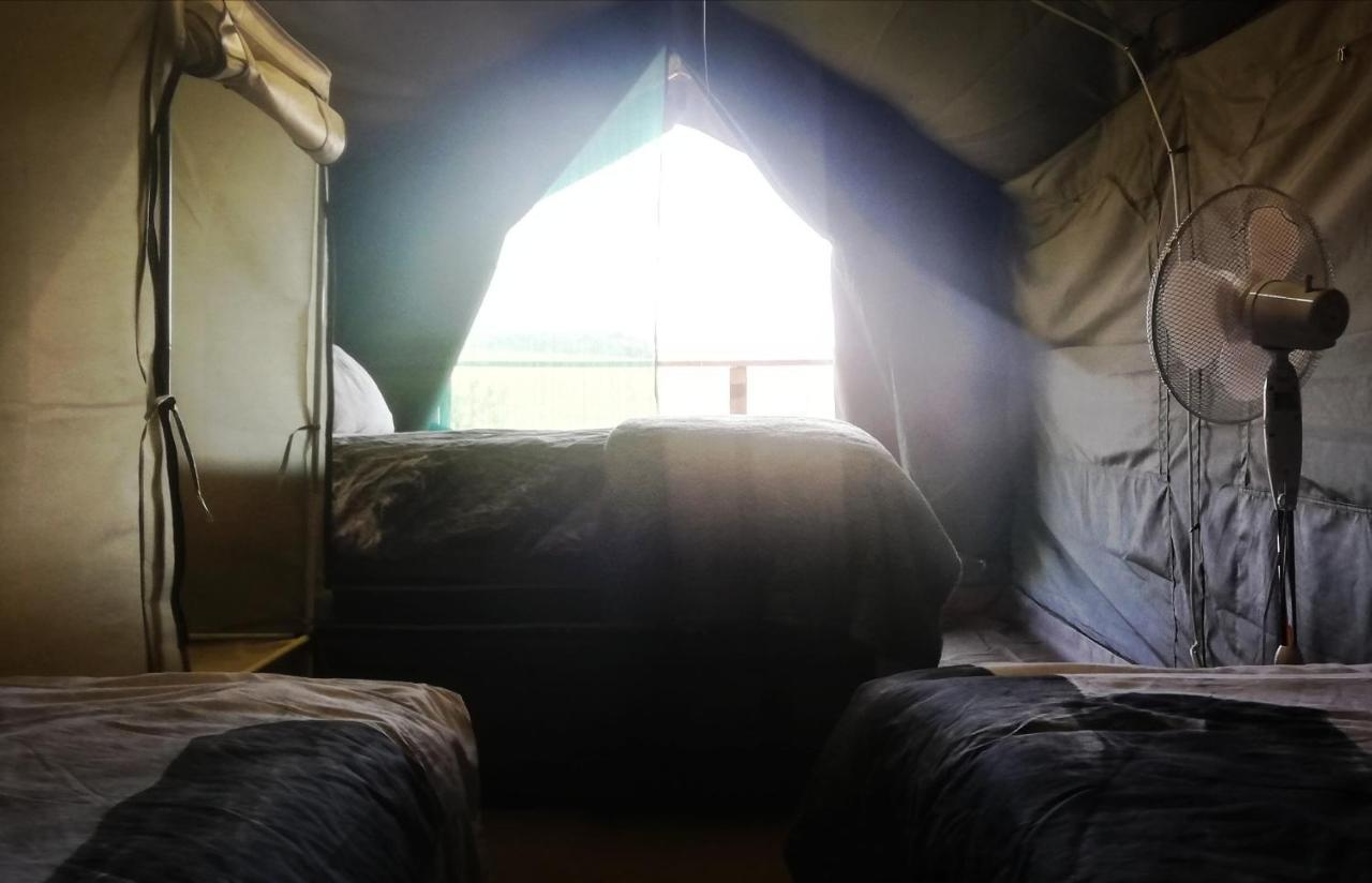 Chosen Glamping Tents Graskop Exterior foto