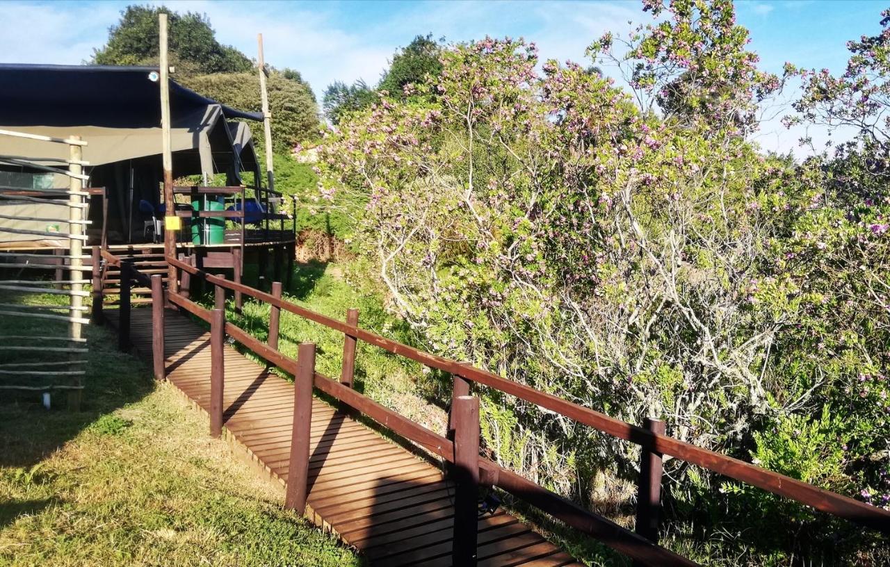 Chosen Glamping Tents Graskop Exterior foto