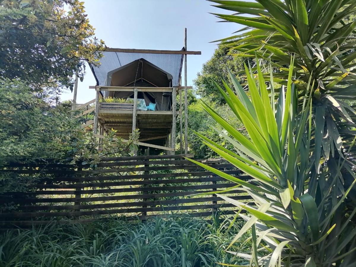 Chosen Glamping Tents Graskop Exterior foto