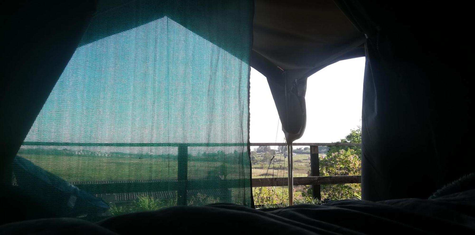 Chosen Glamping Tents Graskop Exterior foto